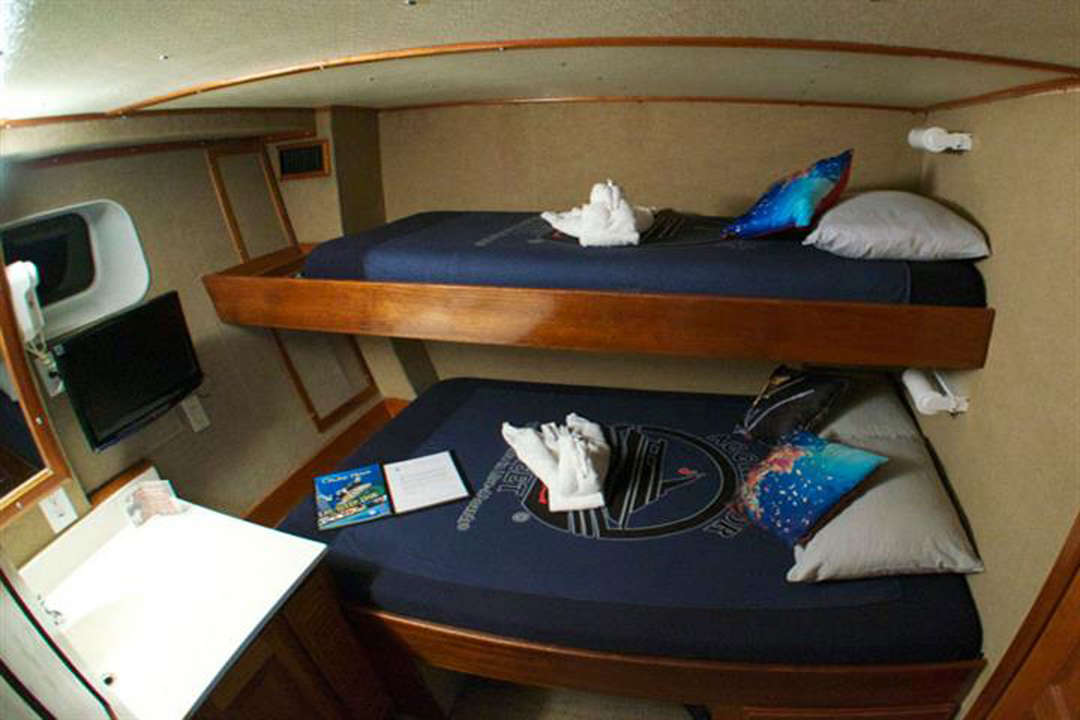 Deluxe Stateroom