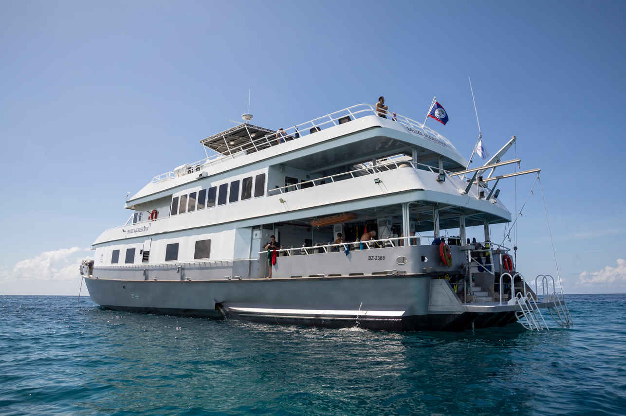Belize Aggressor IV