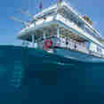 Belize Aggressor IV