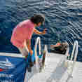 #diveplatform  - Belize Aggressor IV