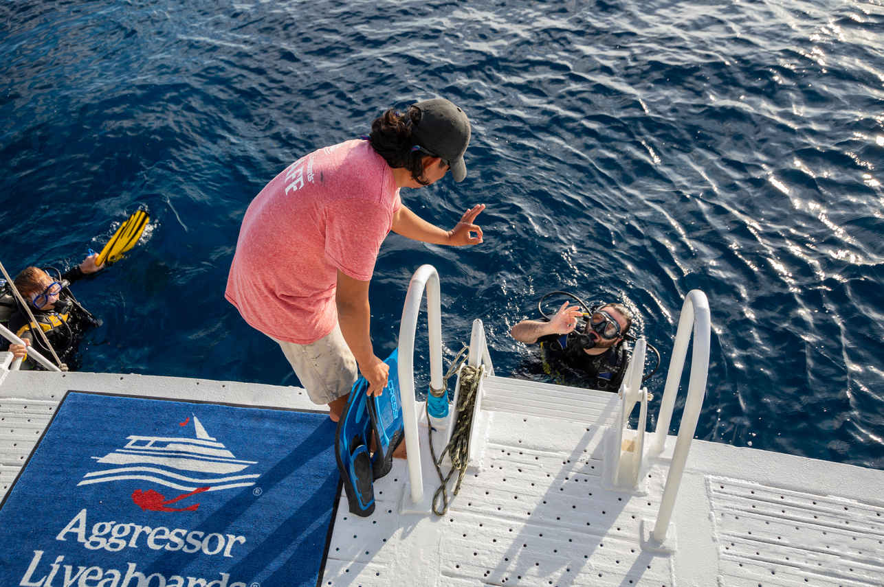 #diveplatform - Belize Aggressor IV