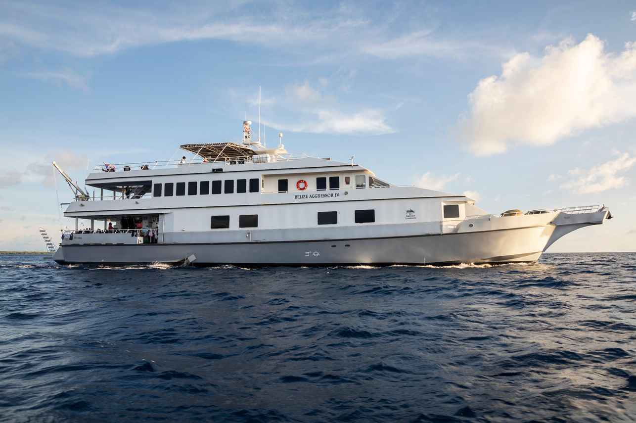 Belize Aggressor IV
