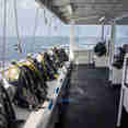 #divedeck  - Belize Aggressor IV