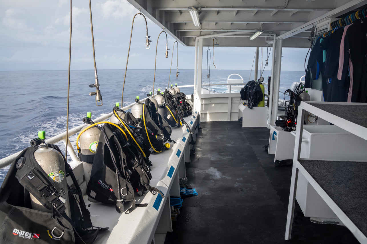 #divedeck - Belize Aggressor IV