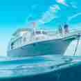 Bahamas Aggressor