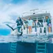 #diveplatform  - Bahamas Aggressor