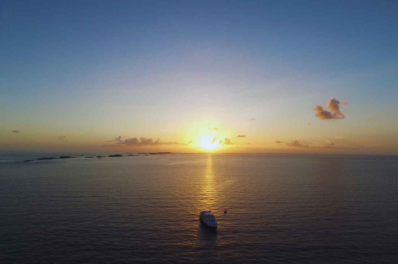 Bahamas Aggressor