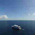 Bahamas Aggressor