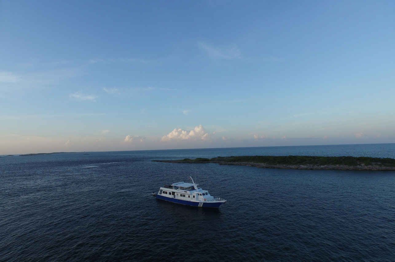 Bahamas Aggressor