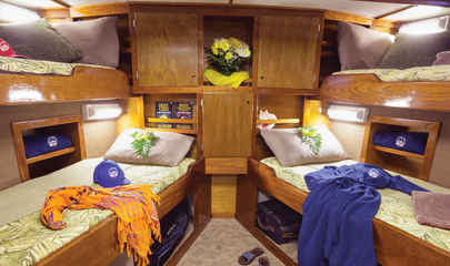 Quad Stateroom