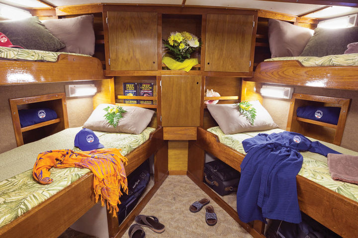 Quad Stateroom