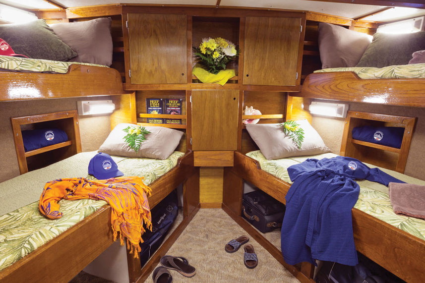 Quad Stateroom