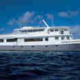 Cayman Aggressor IV