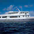 Cayman Aggressor IV