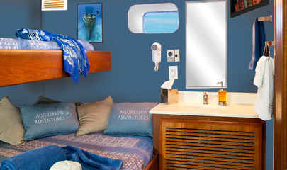 Twin Bunk-Style Staterooms