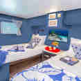 Deluxe Cabin - Cayman Aggressor IV