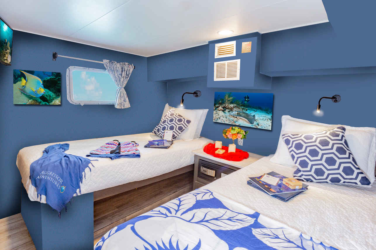 Deluxe Cabin - Cayman Aggressor IV