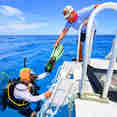#diveplatform  - Cayman Aggressor IV