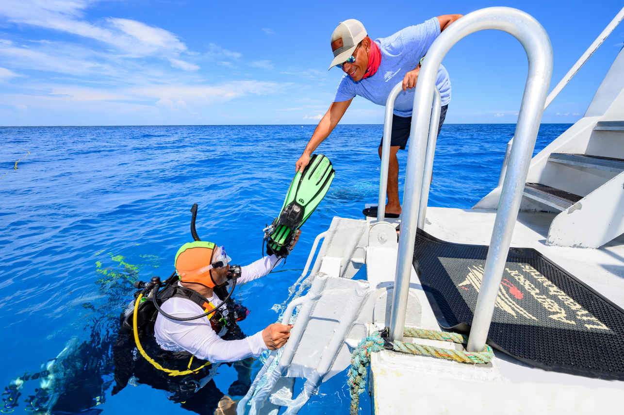 #diveplatform - Cayman Aggressor IV