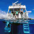 #diveplatform  - Cayman Aggressor IV