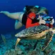 Tortue - Cayman Aggressor IV