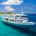 Cayman Aggressor IV