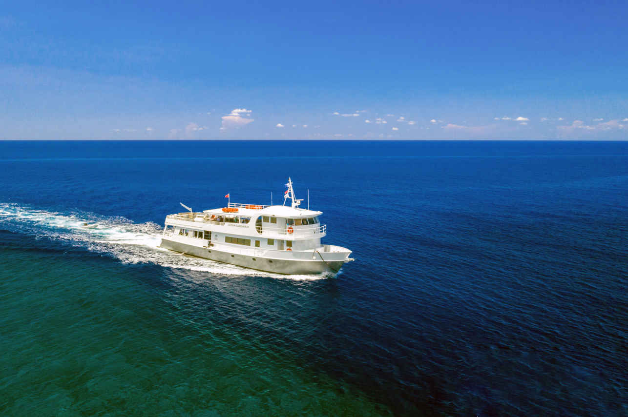 Cayman Aggressor IV