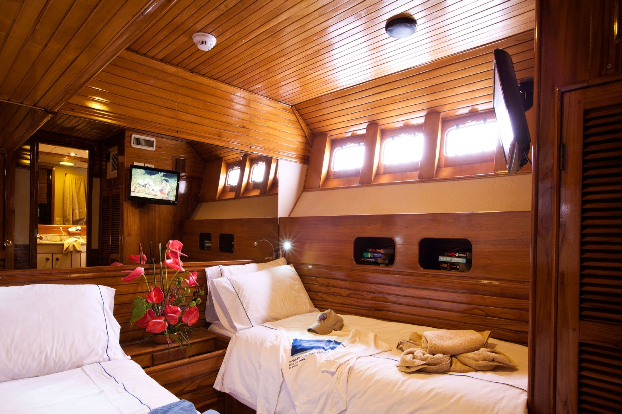 Deluxe Cabin - Galapagos Aggressor III