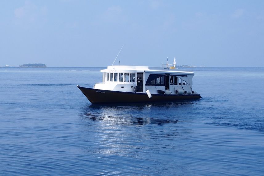 Dive Dhoni - Emperor Orion Maldives