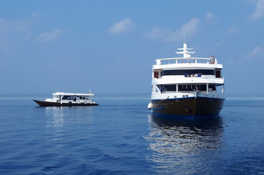 Emperor Orion & Dhoni Maldives