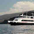 Kona Aggressor II