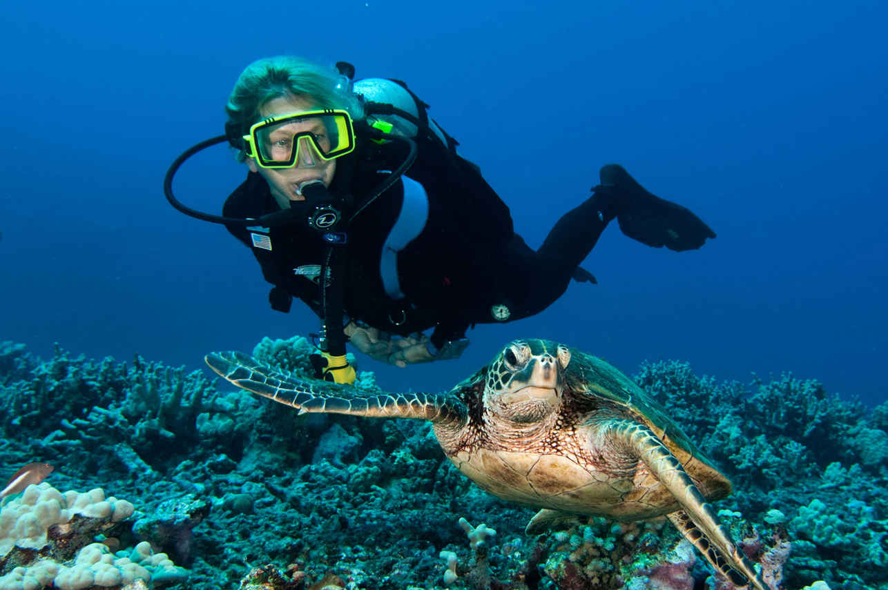 Diving