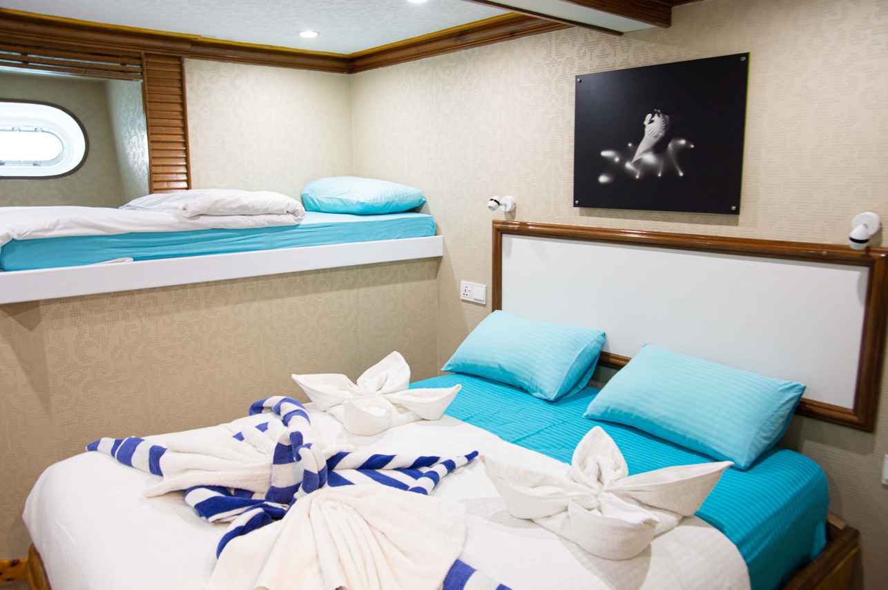 Double Cabin - Emperor Virgo