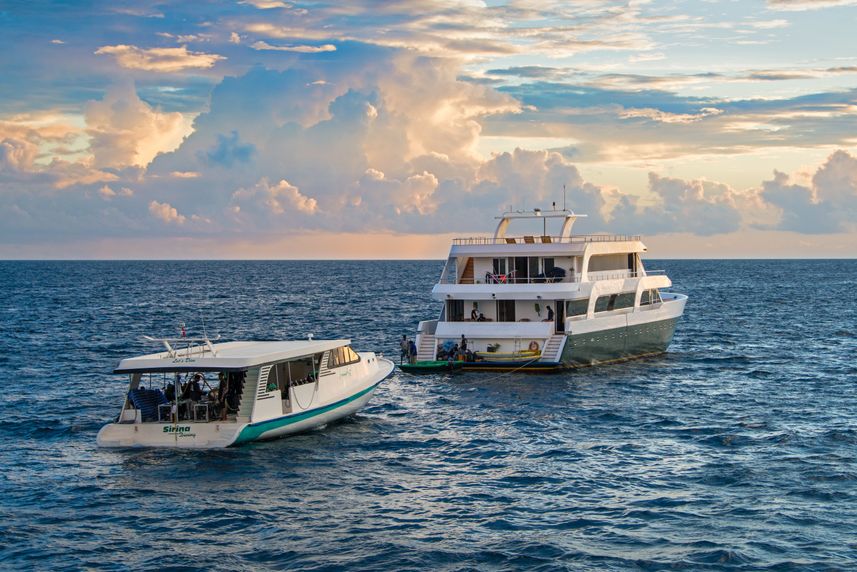 Emperor Leo & Diving Dhoni Maldives