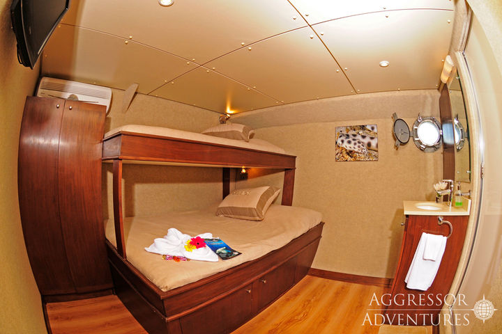 Quad Stateroom