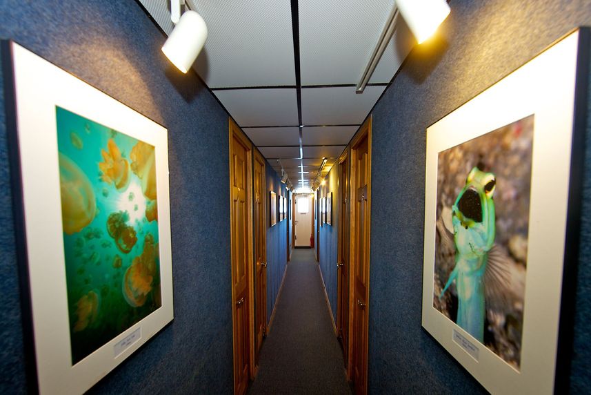 Hallway