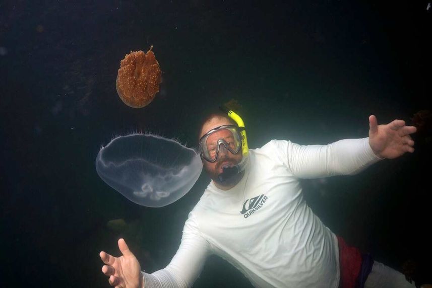 Snorkelling  - Palau Aggressor II