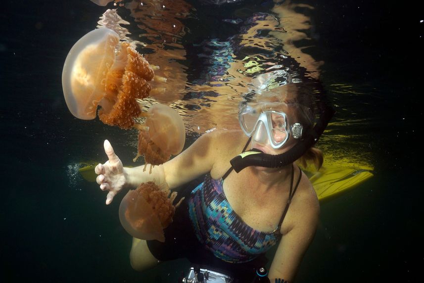 Snorkelling - Rock Islands Aggressor