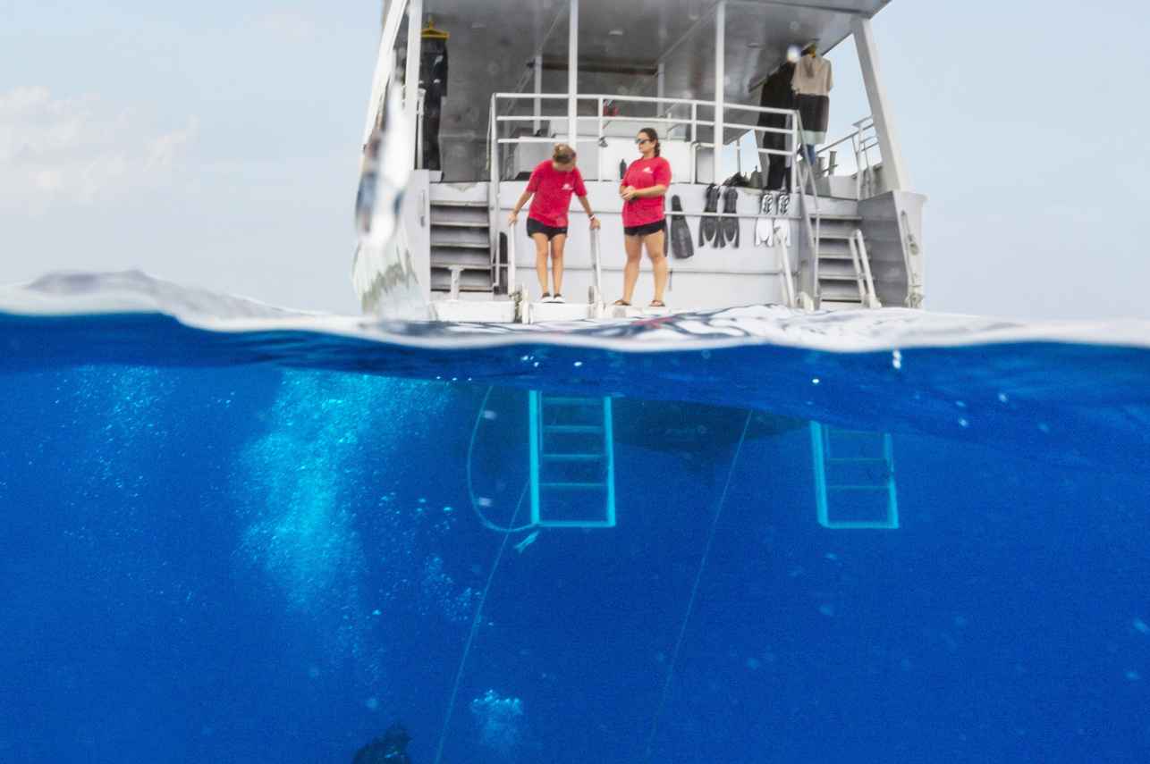 Dive Platform - Turks and Caicos Aggressor II