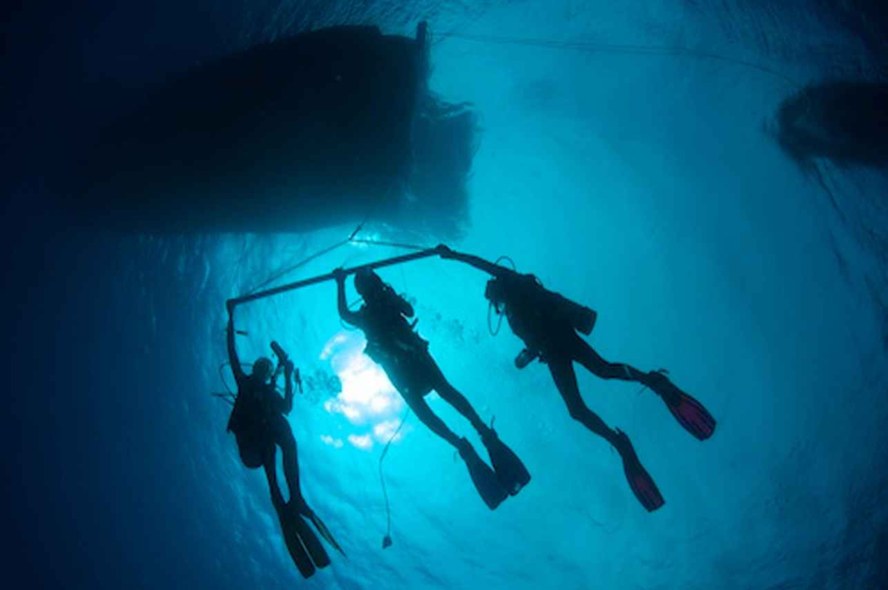 Diving