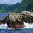 Exploracion insular  - Okeanos Aggressor II