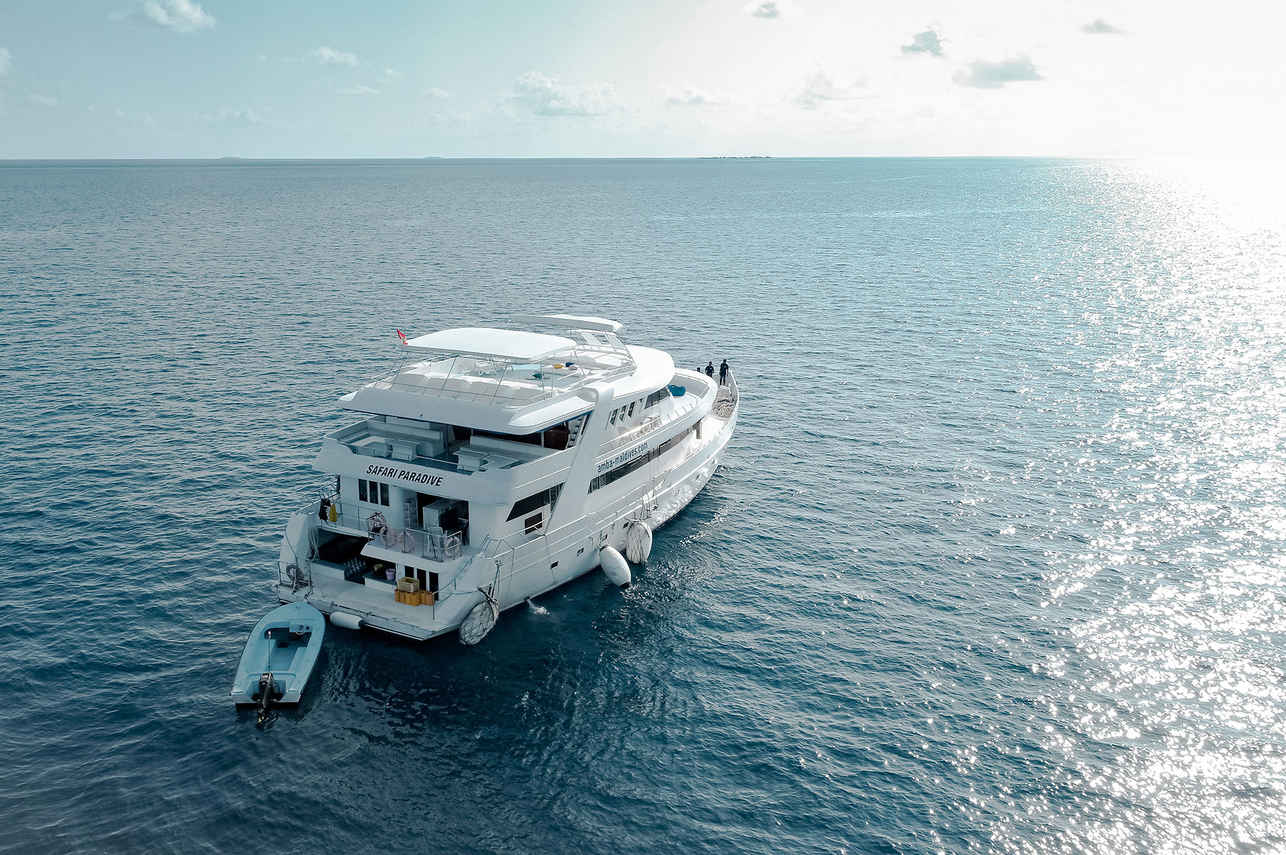 Amba Liveaboard