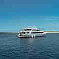 Amba Liveaboard