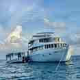 Amba Liveaboard