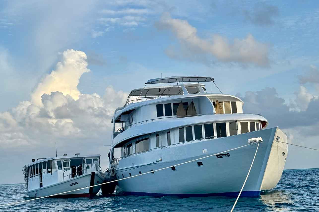 Amba Liveaboard