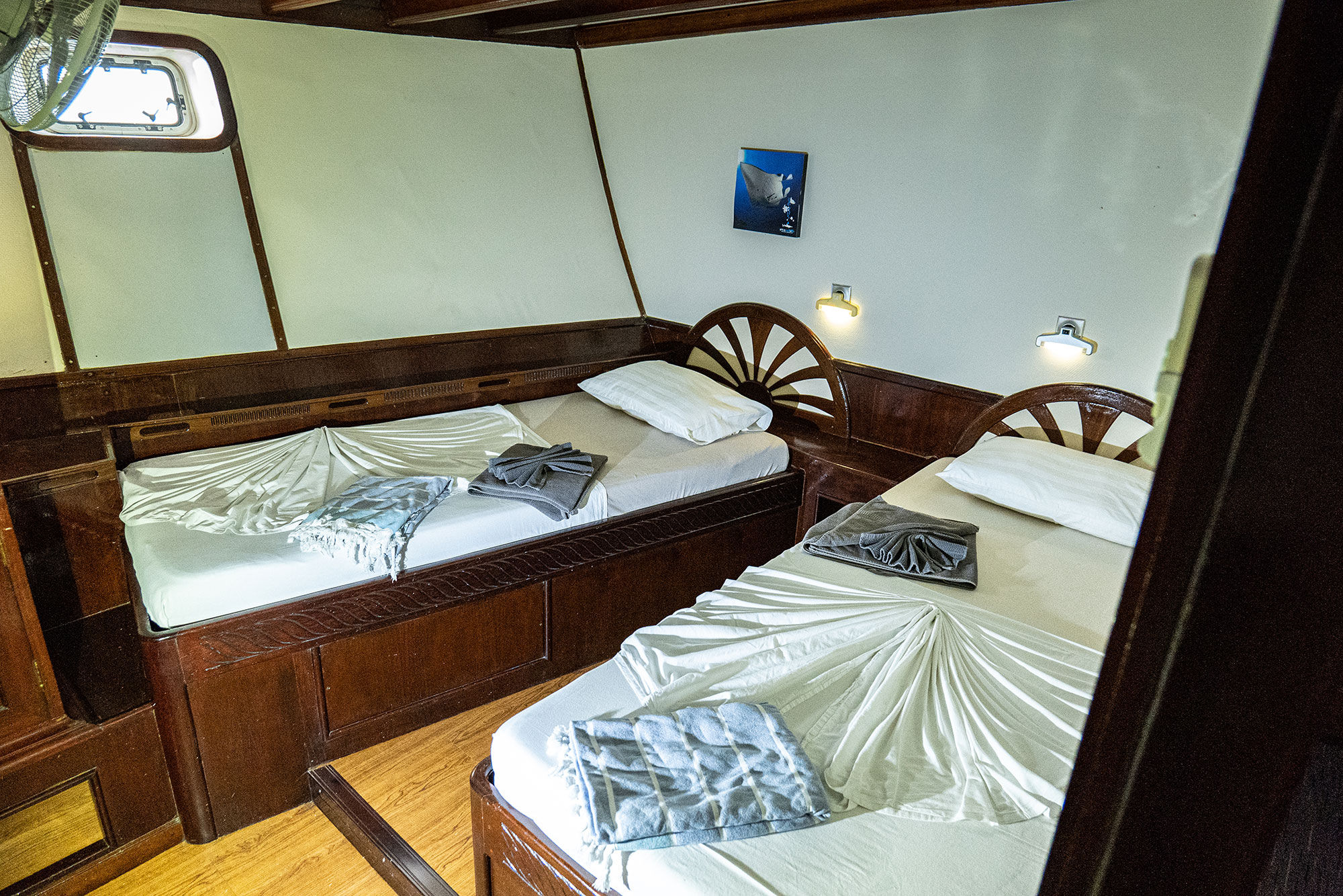 Twin Cabin - Amba Liveaboard