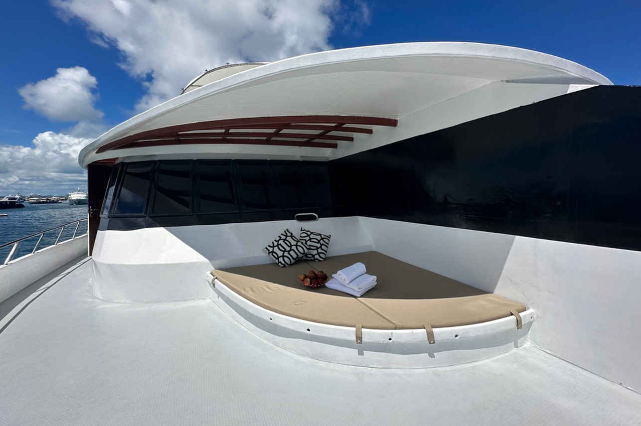 Upper Deck Terrace