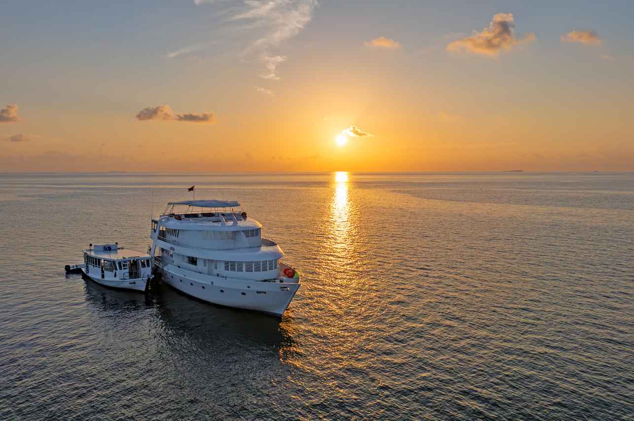 Amba Liveaboard