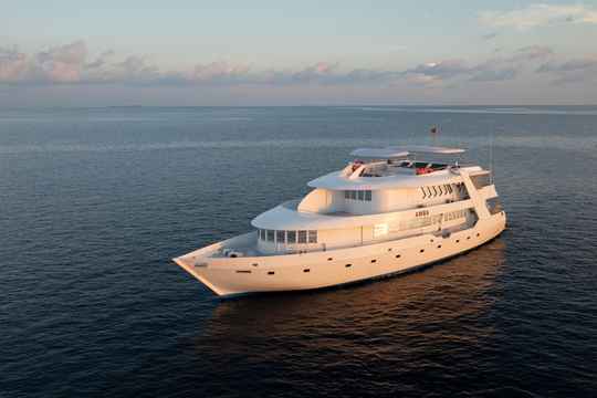 Amba Liveaboard