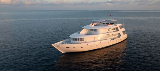 Amba liveaboard in Maldives